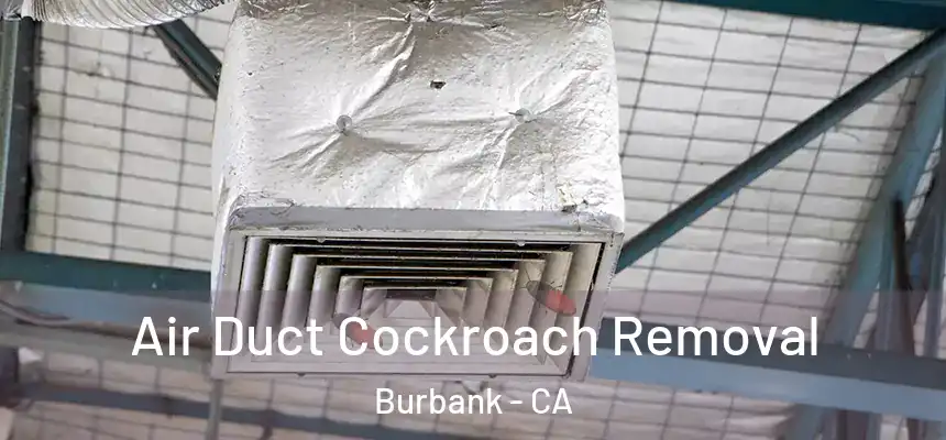 Air Duct Cockroach Removal Burbank - CA
