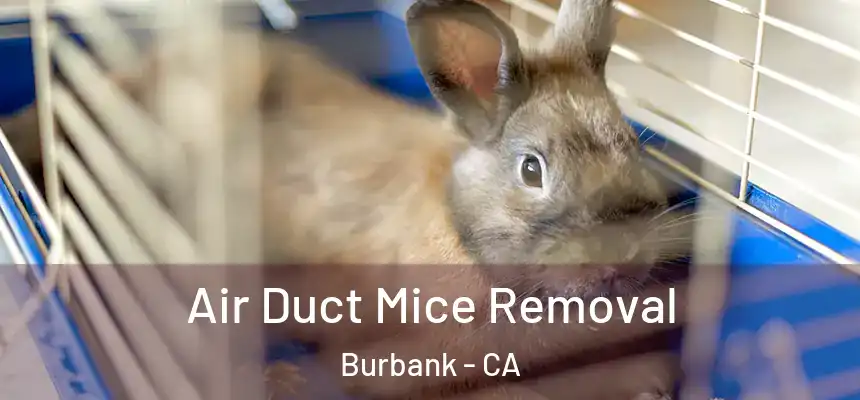 Air Duct Mice Removal Burbank - CA