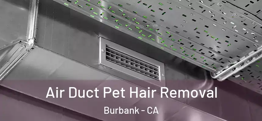 Air Duct Pet Hair Removal Burbank - CA