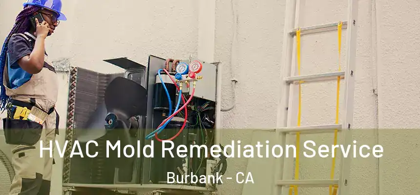 HVAC Mold Remediation Service Burbank - CA