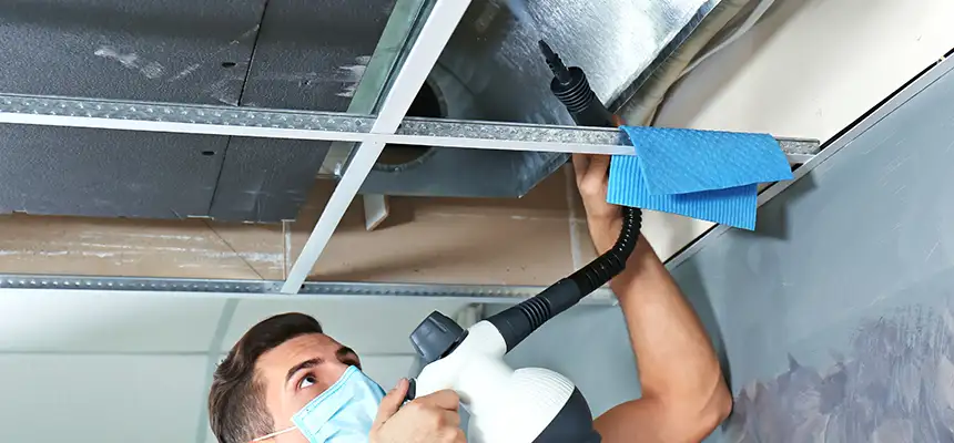 Our Air Duct Rodent Removal Services in Burbank, CA