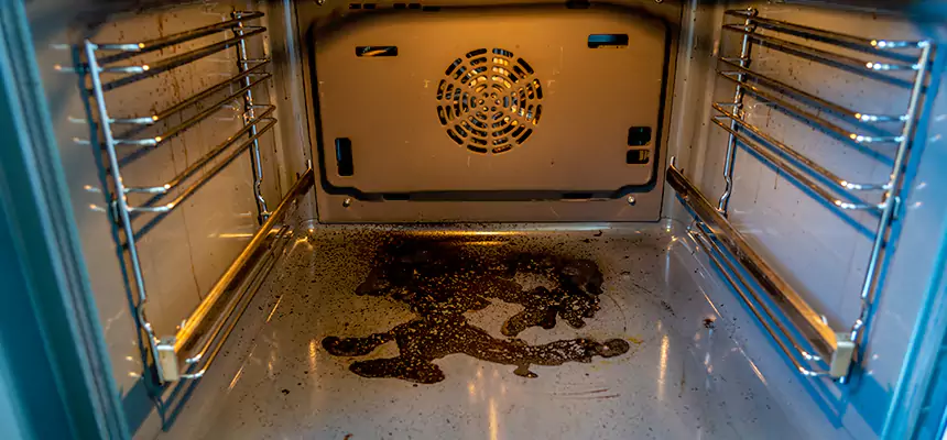 Our Dryer Vent Mold Cleaning Services in Burbank, CA