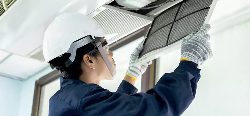 Our Mold & Mildew Removal from Air Ducts Services in Burbank, CA