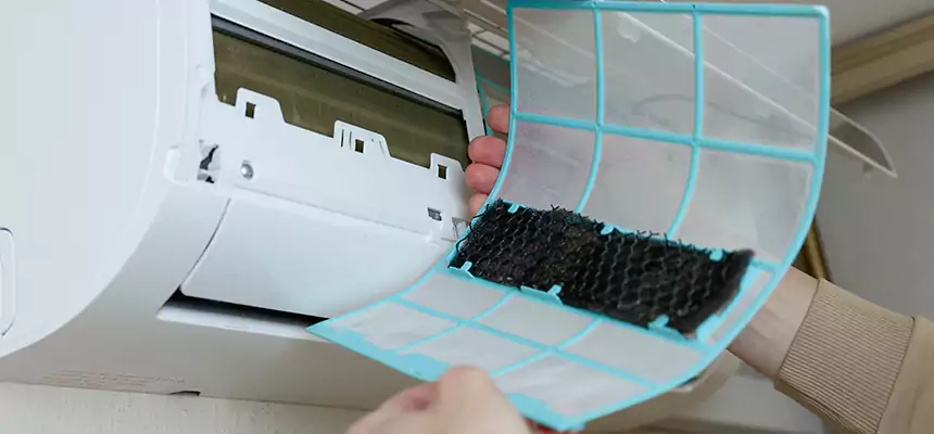 Gentle Ductwork Odor-Control Pet Dander Duct Cleaning in Burbank, CA