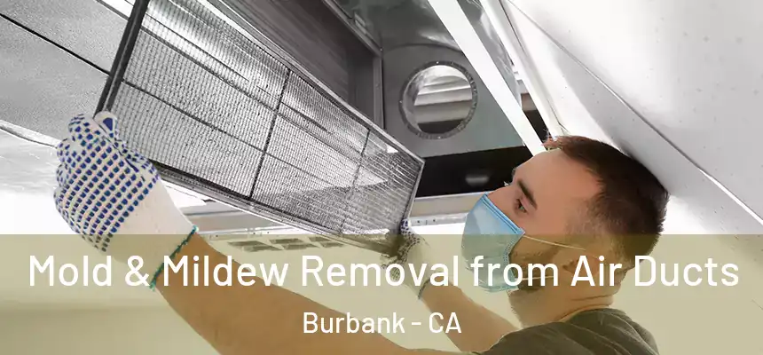 Mold & Mildew Removal from Air Ducts Burbank - CA
