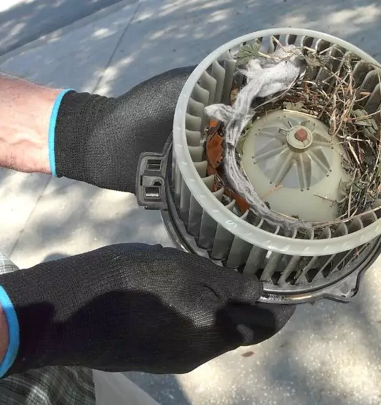 About Air Duct Rat Removal in Burbank, CA