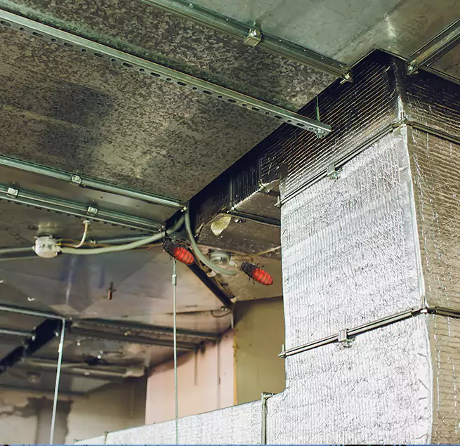 Why Homeowners & Businesses Trust Us in Burbank, CA?