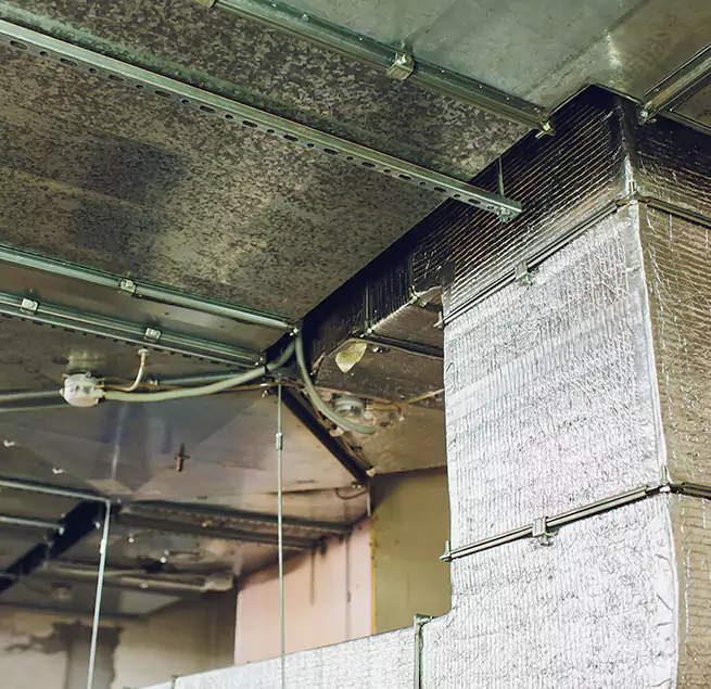 Why Homeowners & Businesses Trust Us in Burbank, CA?